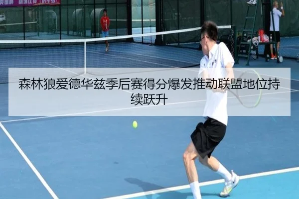 森林狼爱德华兹季后赛得分爆发推动联盟地位持续跃升