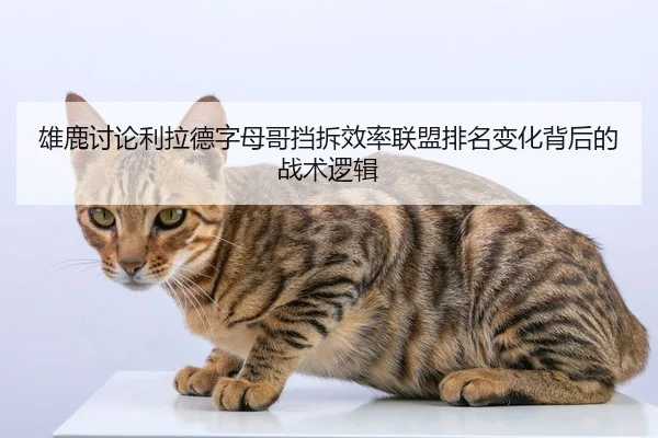 雄鹿讨论利拉德字母哥挡拆效率联盟排名变化背后的战术逻辑